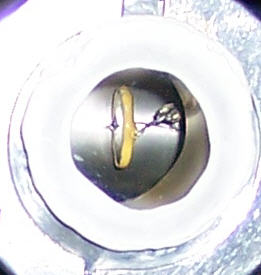 100_1752d.jpg